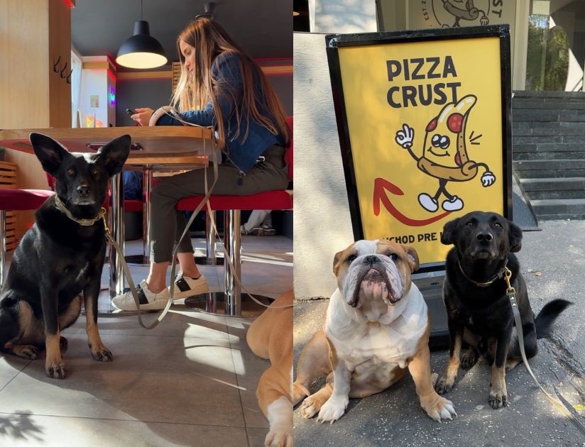 recenzia pizza crust